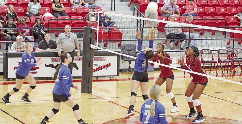 TRIBUNE PHOTO / QUINTEN BOYD Pewitt’s Ashtyn Boyd jumps up for a set during play at the Hughes Springs Tournament. The Lady Brahmas dropped their match Tuesday against Chisum, 3-0.