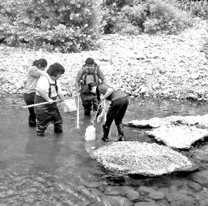 NTCC biology program makes potential new species discovery in Arkansas
