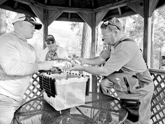 BassCashBash founder P.D. Vinson (right) gets some help from the Fort Polk Bassmasters in tagging fish ahead of the upcoming 2023 Toledo Bend BassCashBash event set for March 1 - July 4. BCB is currently underway on Sam Rayburn, where 200 bass are wearing tags worth $400,000 in cash and prizes including a Phoenix bass boat and and RAM pick-up. The ‘Rayburn event runs through April 30. COURTESY PHOTO