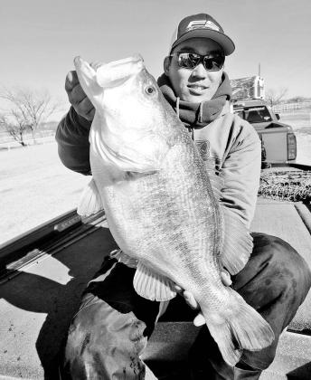 Bass angler Lawrence Lee of Temple caught the first Toyota Legacy Lunker of 2024 on January 17 while fishing at Lake J.B. Thomas in West Texas. The 13.79 pounder is the first-ever Legacy Lunker from the 7,200 acre reservoir and is a new lake record. (Photo courtesy Christian Gladfelter/Slaunched Guide Service)