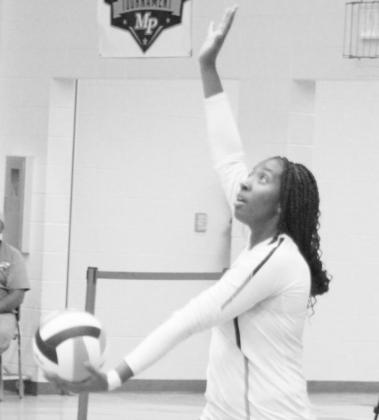 Volleyball teams gear up for playoff race