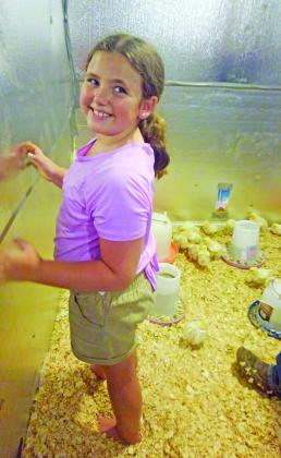 Lilly Cameron with her chickens from Harts Bluff FFA