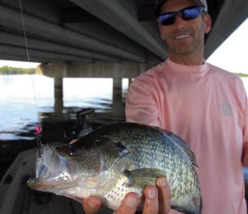 Lake Fork fishing guide Gary Paris believes that forward-facing sonar usage could lead to a negative impact on the abundance of large crappie in his home lake. He contends that many anglers are using the technology to deliberately target big females for harvest rather than settling for a limit of 1012 inch fish. COURTESY PHOTO / MATT WILLIAMS