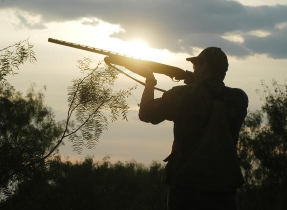Thousands of Texas hunters will take the field on September 1 as the 2023-24 dove season gets underway at 30 minutes before sunrise. Dove hunting is a feathered cash cow believed to generate about $316 million annually for the state’s economy. COURTESY PHOTOS / MATT WILLIAMS