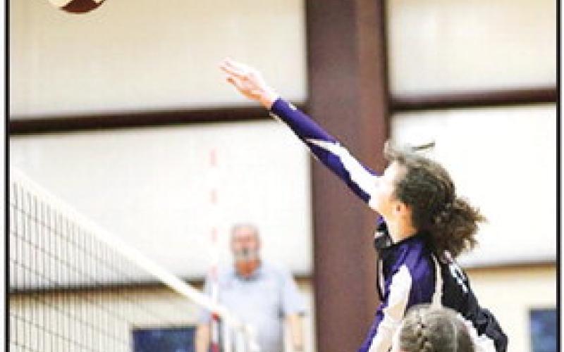CHAAMP Hawks Varsity Volley