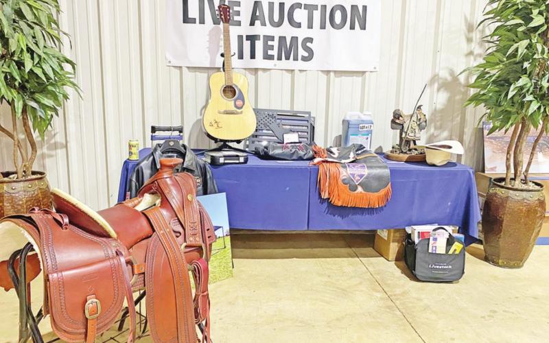 The live auction brought in thousands of dollars for the Dyer family. COURTESY PHOTOS / LESLIE BROSNAN