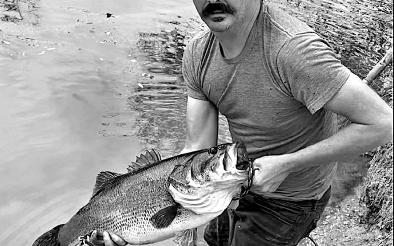 On February 5, musician Willie Pipkin of Dripping Springs was fishing from the shores of Lady Bird Lake in downtown Austin when he hooked and landed a 14.05-pound largemouth bass that is a new water body record for the 468-acre reservoir. Pipkin subsequently loaned the fish to Toyota ShareLunker program.