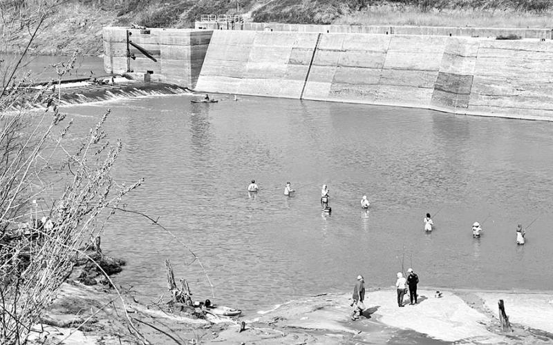 The Trinity River is roiling now, but all the fresh water is sure to jump start the annual white bass spawning run above Lake Livingston. The old Lock-N-Dam at the State Highway 7 crossing west of Crockett is a popular gathering spot for bank fishermen. Anglers are required to pay small fee for access. PHOTO COURTESY LOCK-N-DAM MARINA