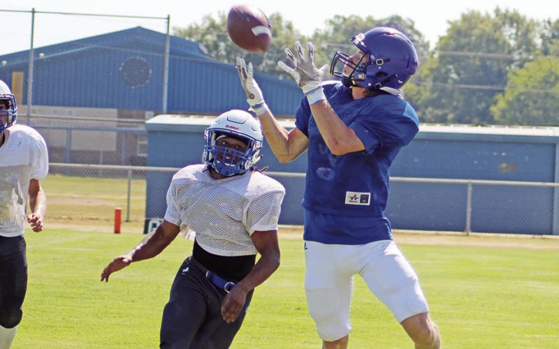 TRIBUNE PHOTOS / QUINTEN BOYD