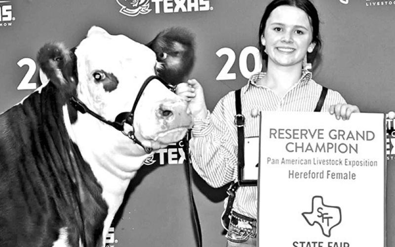 Chapel Hill ISD Students excel at State Fair of Texas