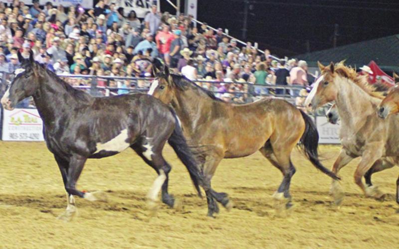 RODEO