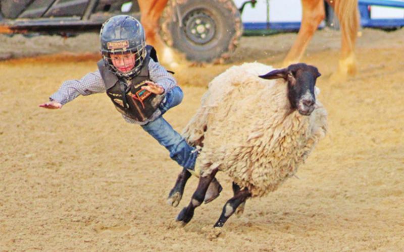 RODEO