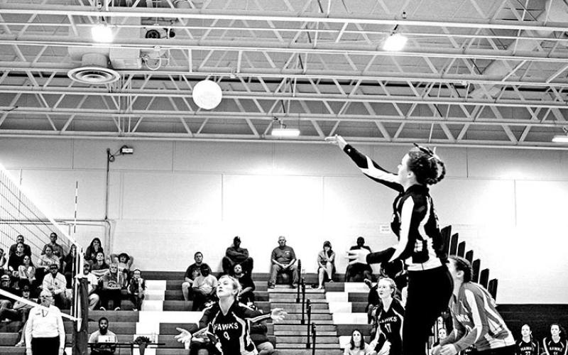COURTESY PHOTOS / LISA SIMMONS