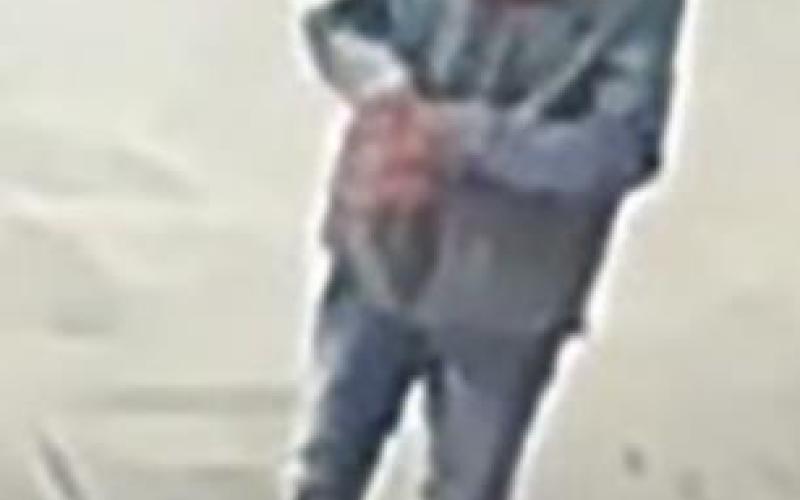 TCSO in search of teen burglars