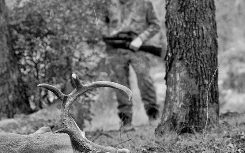 Just about every successful deer recovery involves some degree of trailing. Hunters owe it to the game and the sport to make sure no stones are left unturned when it comes to search and recovery. COURTESY PHOTO / MATT WILLIAMS