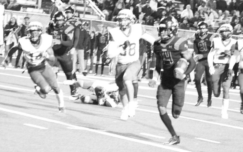 TRIBUNE PHOTOS / QUINTEN BOYD