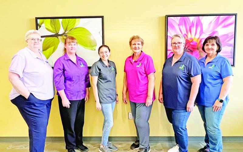 The Mount Pleasant Public Library team is constantly creating new programs and activities to meet the educational and entertainment needs of every age from babies and toddlers to senior citizens. From left: Kim Pearson, Natalie Fox, Lupe Herrera, Helen Thompson, Jeanette McCoy, and Lavonne Hearron. COURTESY PHOTO
