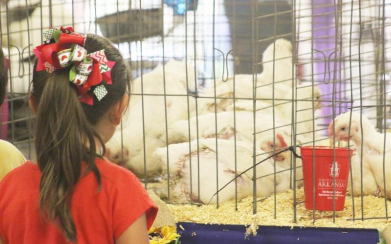 TITUS COUNTY Fair