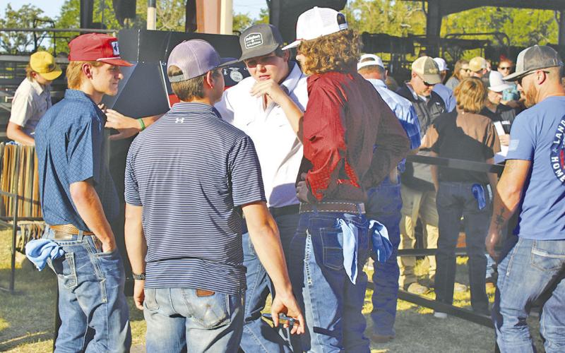 TITUS COUNTY FAIR