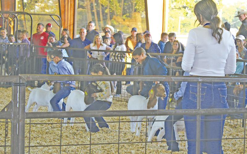TITUS COUNTY FAIR