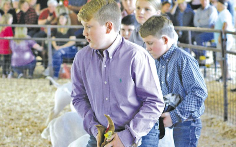 TITUS COUNTY FAIR