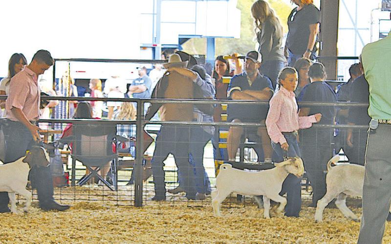 TITUS COUNTY FAIR
