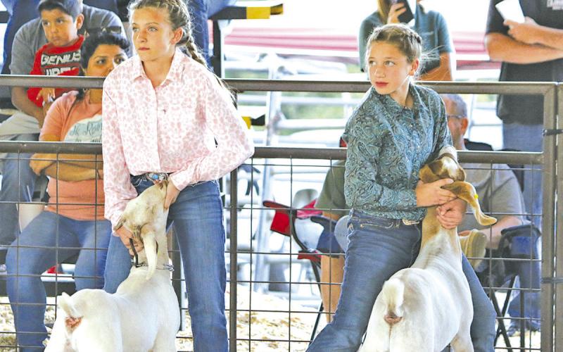 TITUS COUNTY FAIR