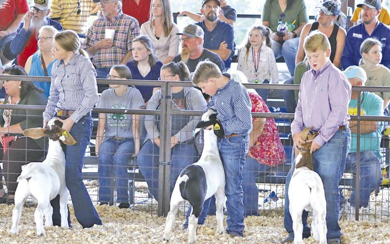 TITUS COUNTY FAIR