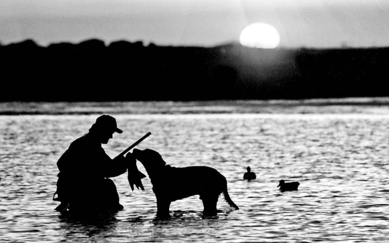 Duck seasons in full swing across Texas. Experts say good shoots in most areas are expected to be short lived with limited water across the landscape. (Photo by Matt Williams)