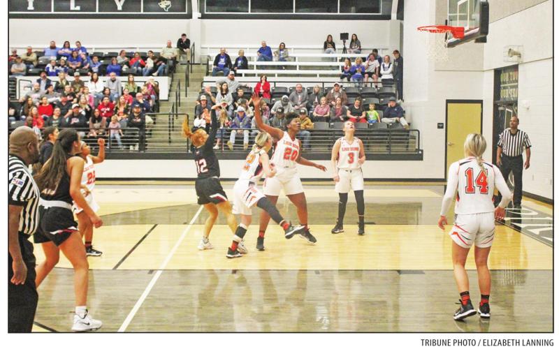 Lady Red Devils fall in bi-district round