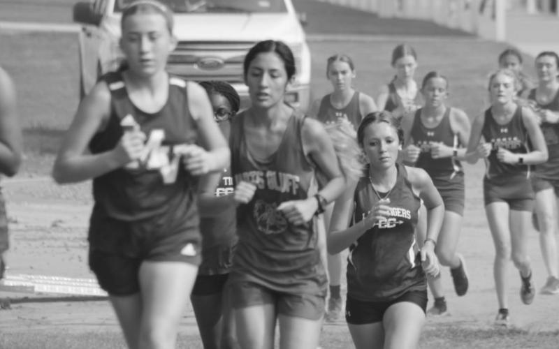 All for run, and run for all