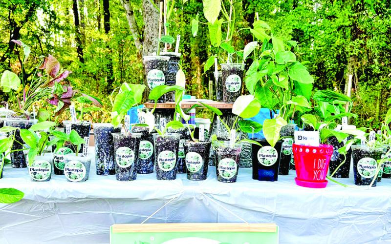 Community flea market draws crowds to Folktale Venue