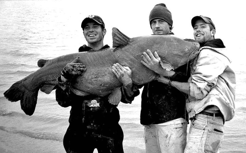Cody Mullennix (far left) reeled in this monster blue catfish in January 2004 while fishing from the bank at Lake Texoma on the Texas/Oklahoma. He was using cut shad for bait. Weighing 121.50 pounds, the fish ranks as the current Texas state record blue cat. The Mullennix blue ranked as the IGFA world record for several years, but has since been broken. Scientists believe the catfish was 23-25 years old. (Courtesy Photo)