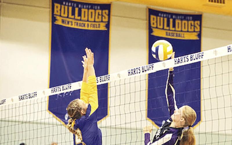 CHAAMP Hawks Varsity Volleyball wins three in a row