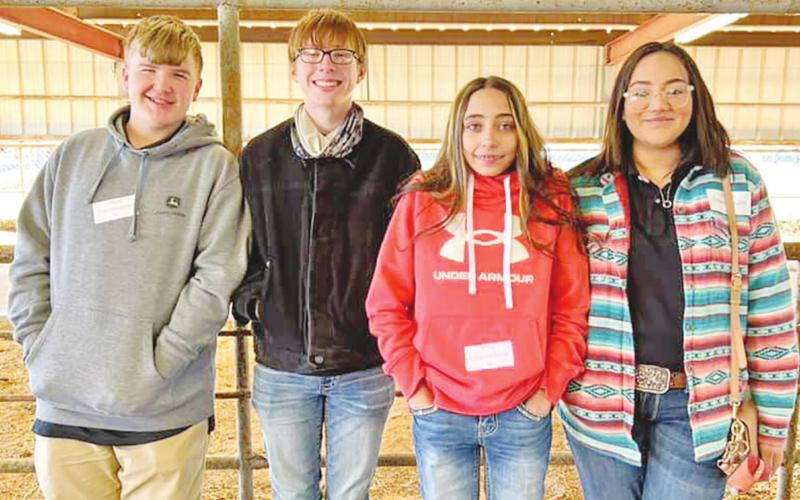 MP FFA Livestock Judging team (L to R): Malakai Hopson, AJ Jeff, Kaylee Rosewell, and Lizbeth Presa. COURTESY PHOTO