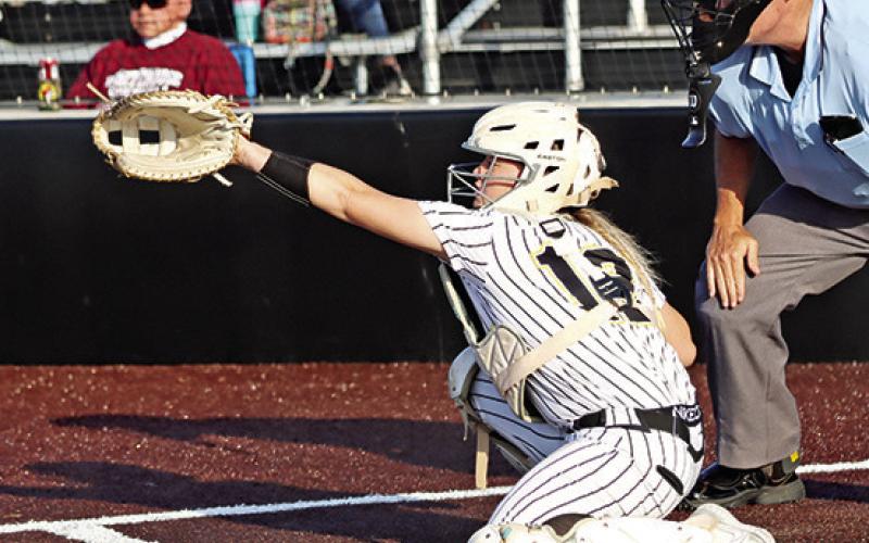 Lady Tigers 5, Pine Tree 1