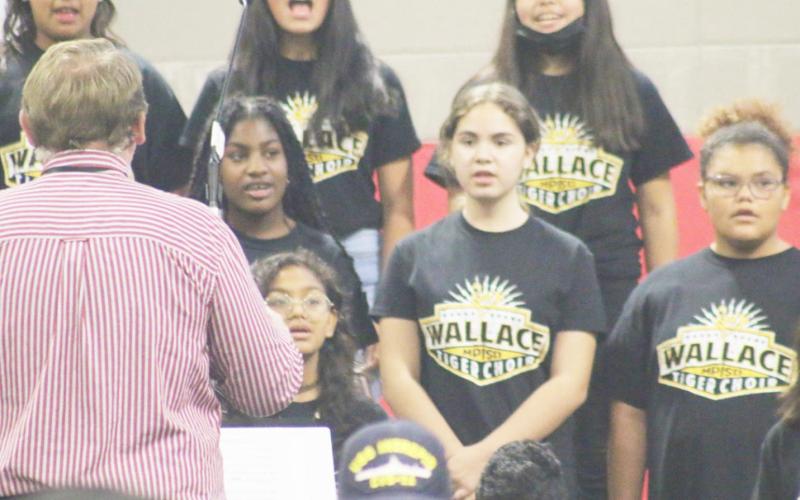 Program honors veterans