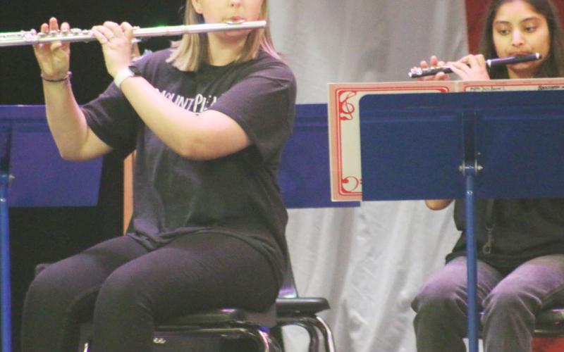 Program honors veterans