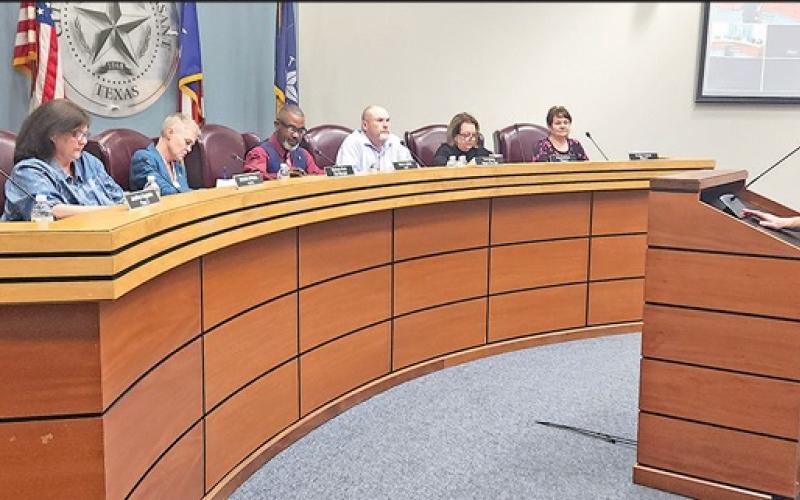 City council opens discussion  with citizens during animal  ordinances workshop