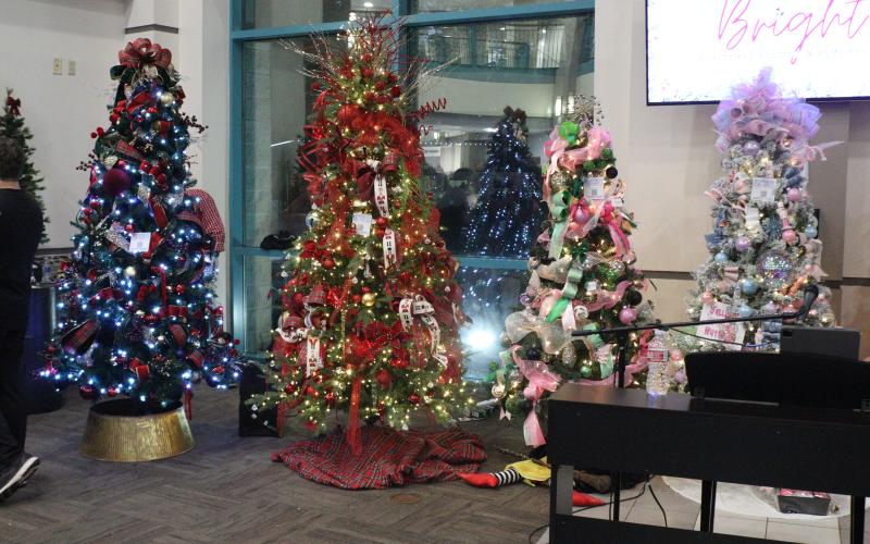 Christmas Trees were available for auction at TRMC’s All Is Bright event.