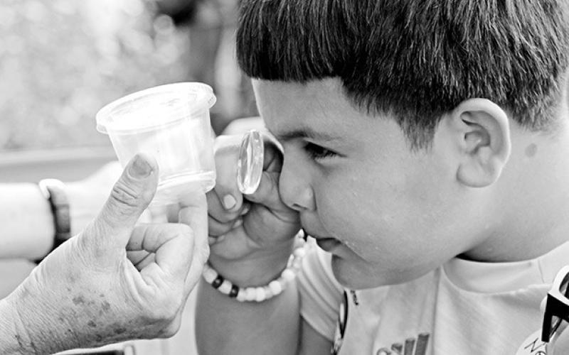 Brice Austin Luna: E.C. Brice 4th grader Austin Luna examines a caterpillar