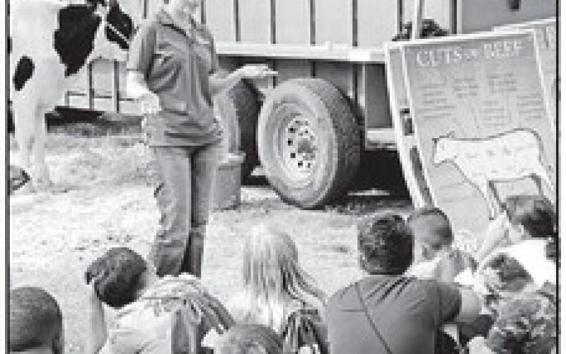 Extension Agent Callie Zoeller asks Brice students how many stomachs cows have