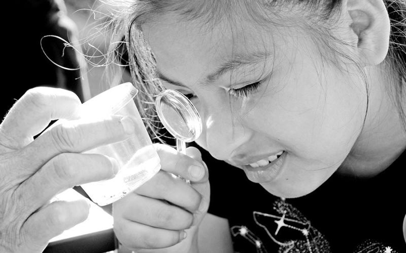Fowler Kahory Hernandez: Vivian Fowler 4th grade student Kahory Hernandez gets a closer look at a caterpillar