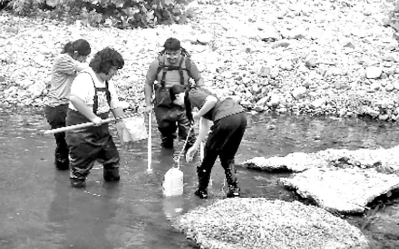 NTCC biology program makes potential new species discovery in Arkansas