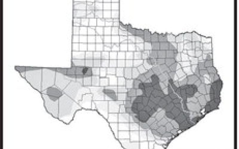 The Texas drought monitor graphic depict the various stages of drought currently in play across. The darker areas depict areas that are in severe, extreme or exceptional drought. Conditions are particularly bad in Central Texas and the Hill Country, where some reservoirs have dipped to all-time lows. COURTESY PHOTO