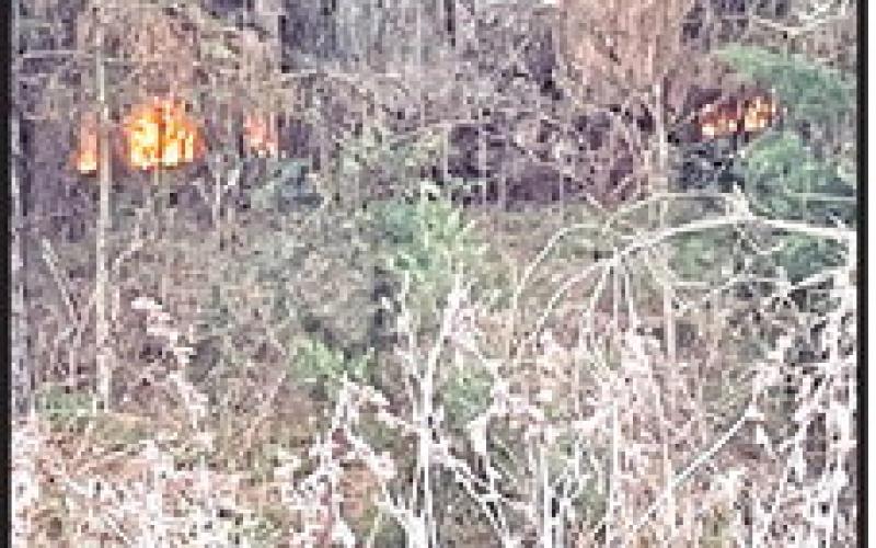 Wildfire burns woods near Lake Bob Sandlin