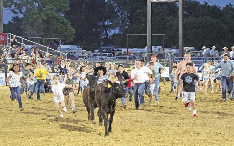 A group of kids chase down a calf during the calf scramble at Thursday’s opening night of the Mount Pleasant Rodeo. The final night of the rodeo is tonight (Saturday) at the Mount Pleasant Rodeo Grounds. TRIBUNE PHOTO / RYLEIGH STEGALL