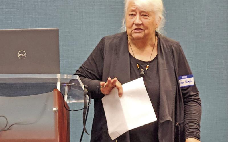 NETWO founder Jean Pamplin speaks at romance workshop