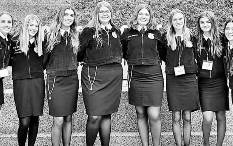 Chapel Hill FFA takes on State convention
