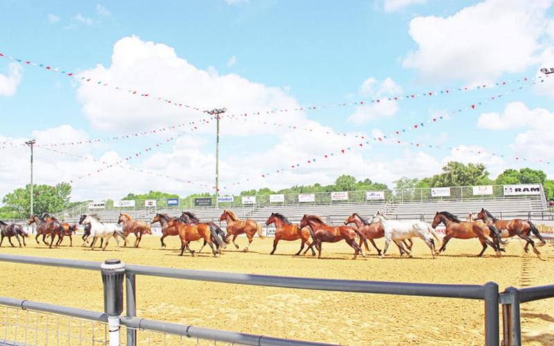 Ribbon-cutting held at Mt. Pleasant Rodeo Arena